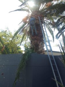 img 20251117 wa0024.jpg