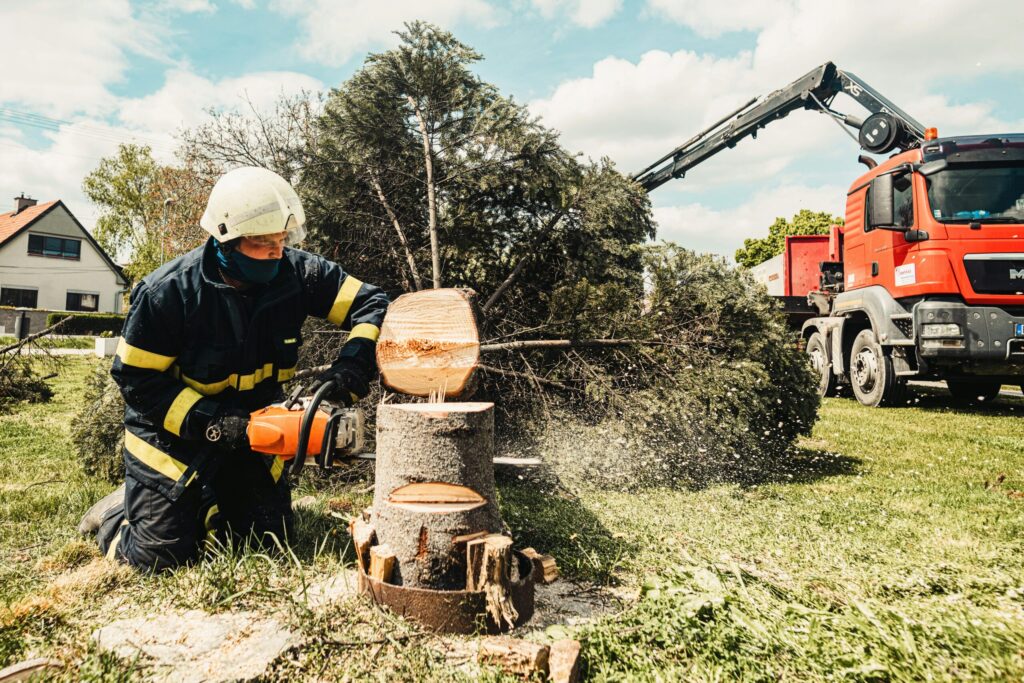 stumb-removal-cape-town